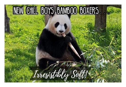 Why Bamboo Underwear You Ask?