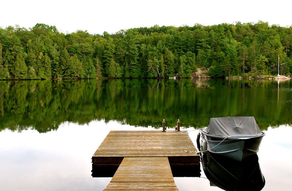 Fishing Trips in the Midwest: The Coolest Lakes